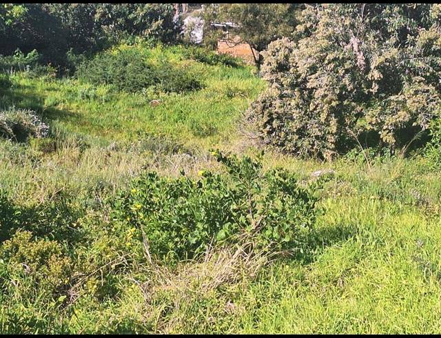 LAND FOR SALE IN HARTENBOS HEUWELS